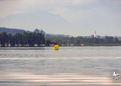 Tegernesee-Langstreckenschwimmen 2021 (Austragungsort: Simsee)